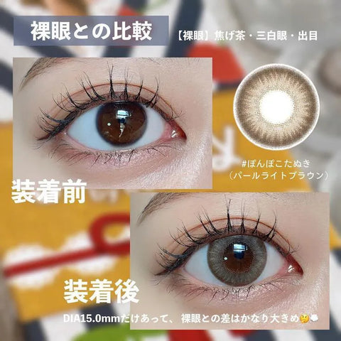 1 DAY LACELLE ICONIC 和服狸狸子｜[日拋] 彩妝隱形眼鏡｜每盒30片